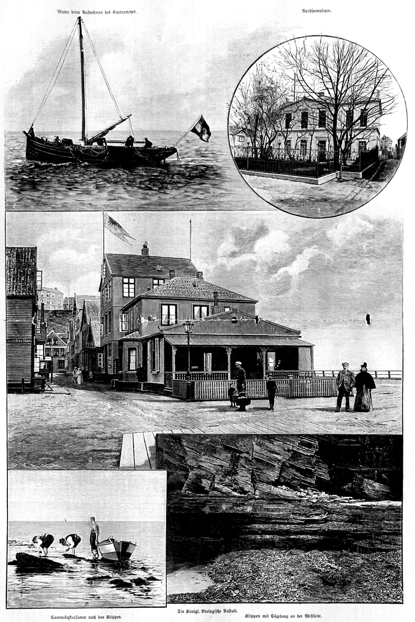 Historical views of early marine biological research on Helgoland