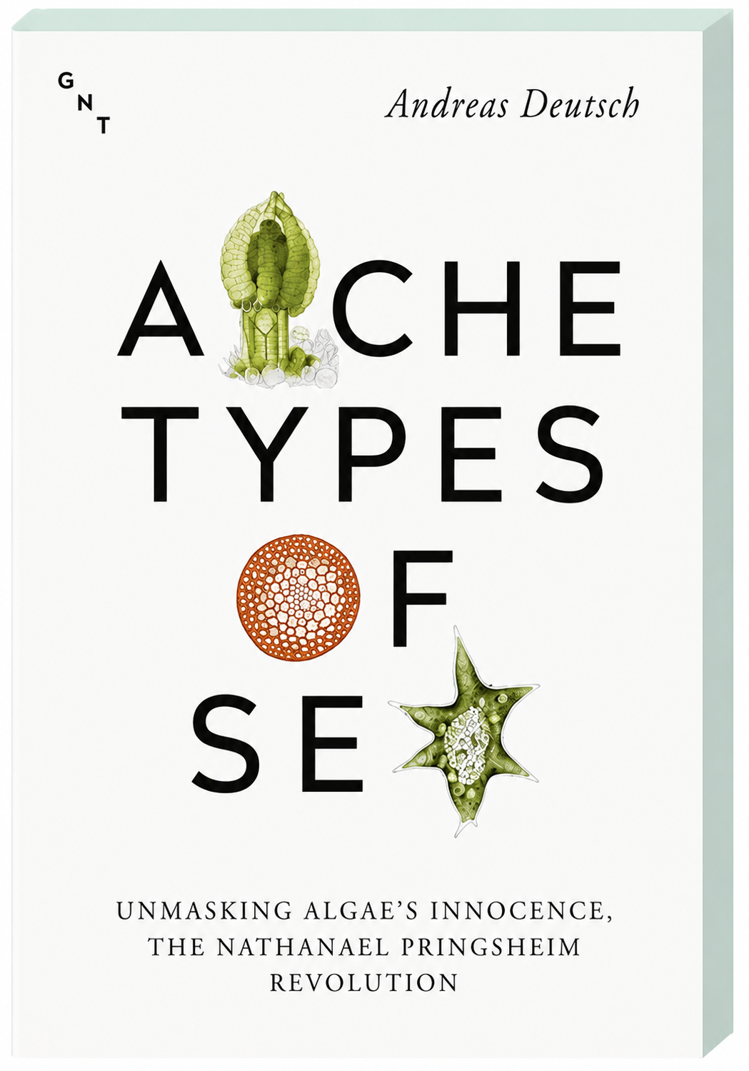 Cover of Archetypes of Sex