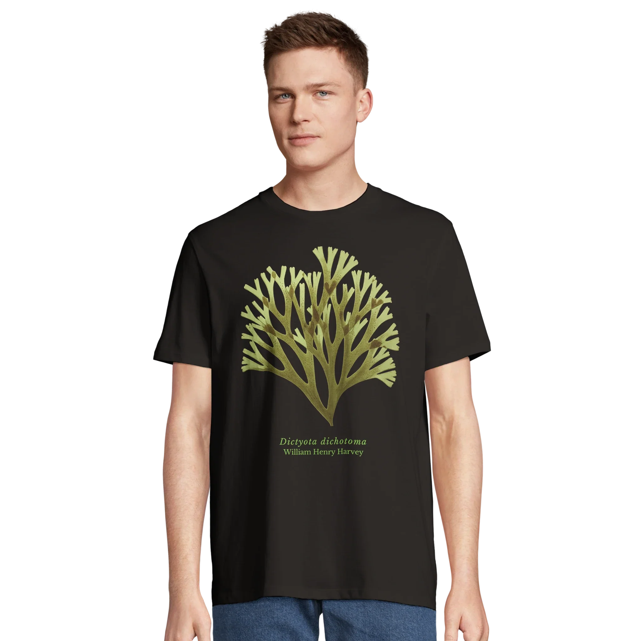 Organic-cotton T-shirt featuring a historical illustration of Dictyota dichotoma